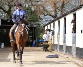 Heathfield Stables